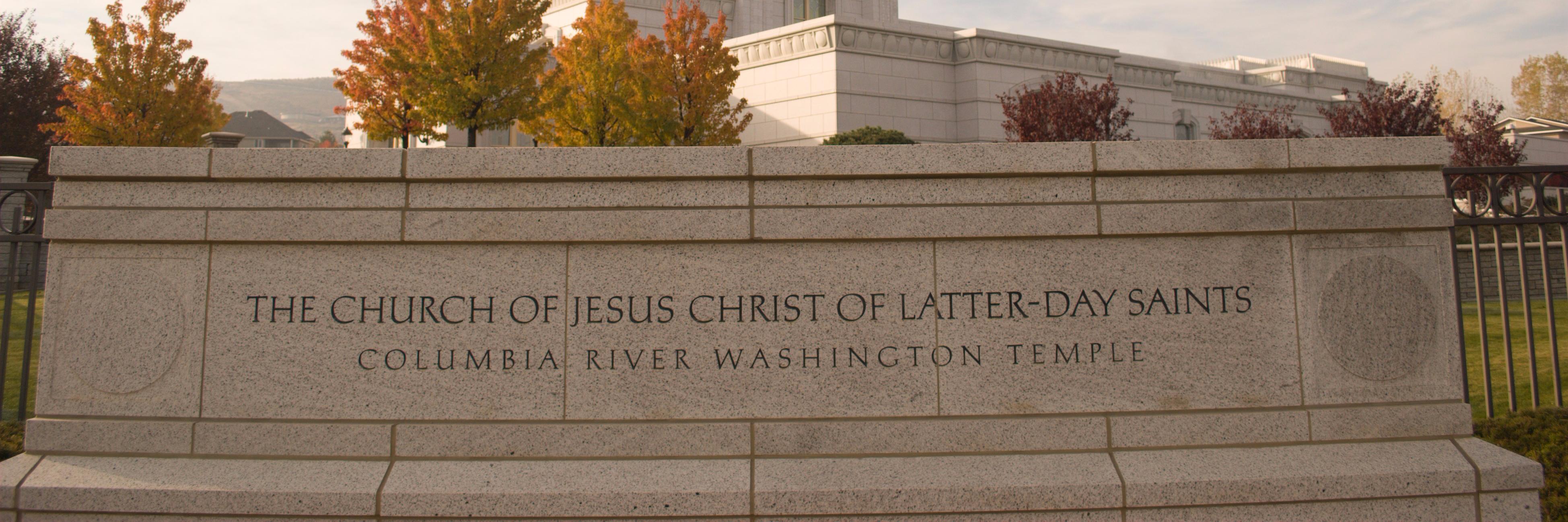 Martin Pescasio banner