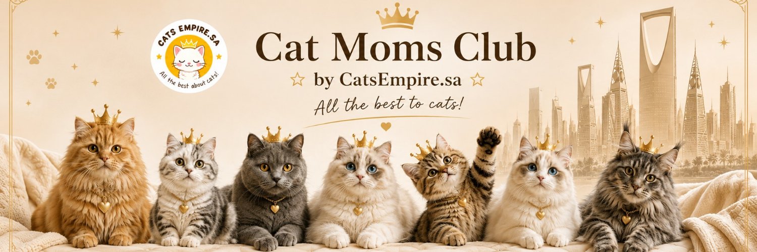 catsempiresa's profile banner image