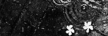 s banner