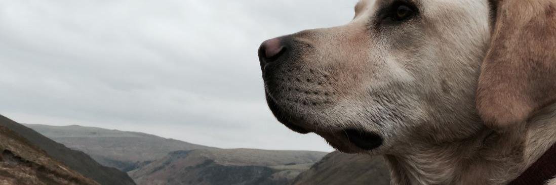 5deegs's profile banner image