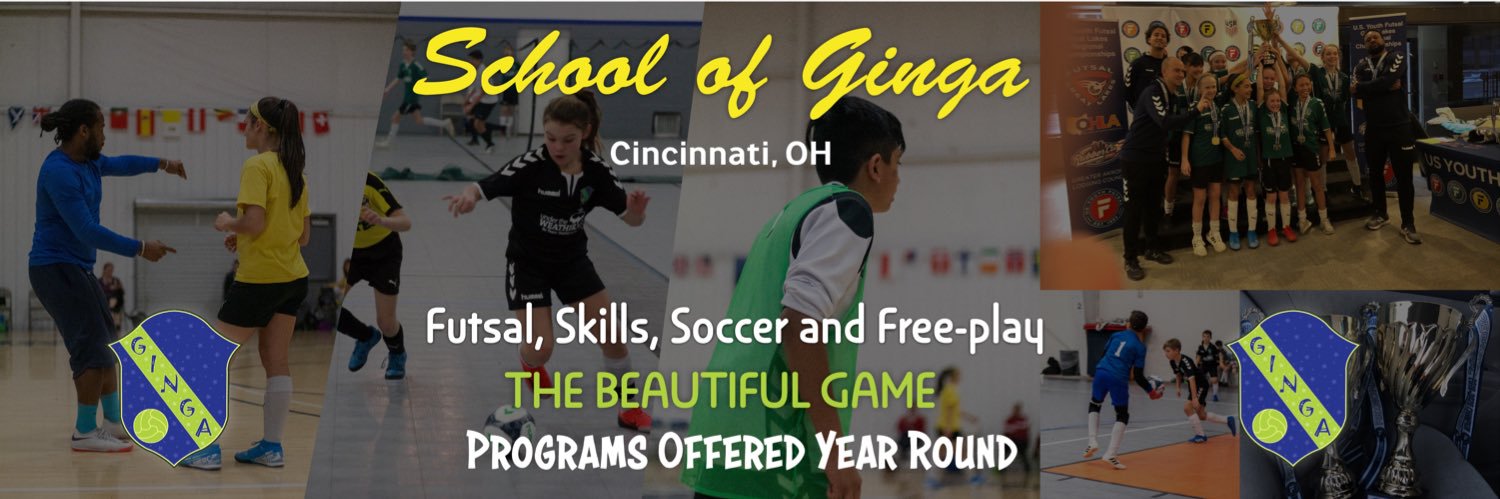 schoolofginga's profile banner image