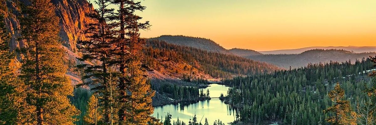 AxelMiculi's profile banner image