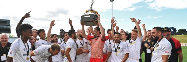 TeamWelly Profile Banner