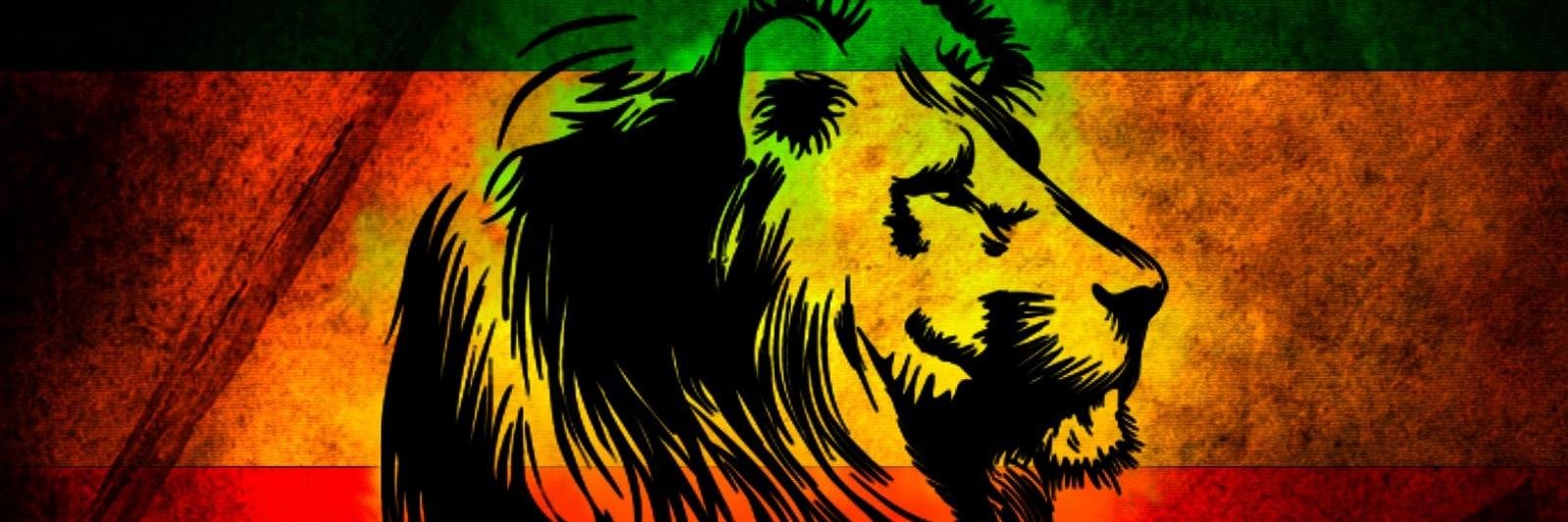 msietins's profile banner image