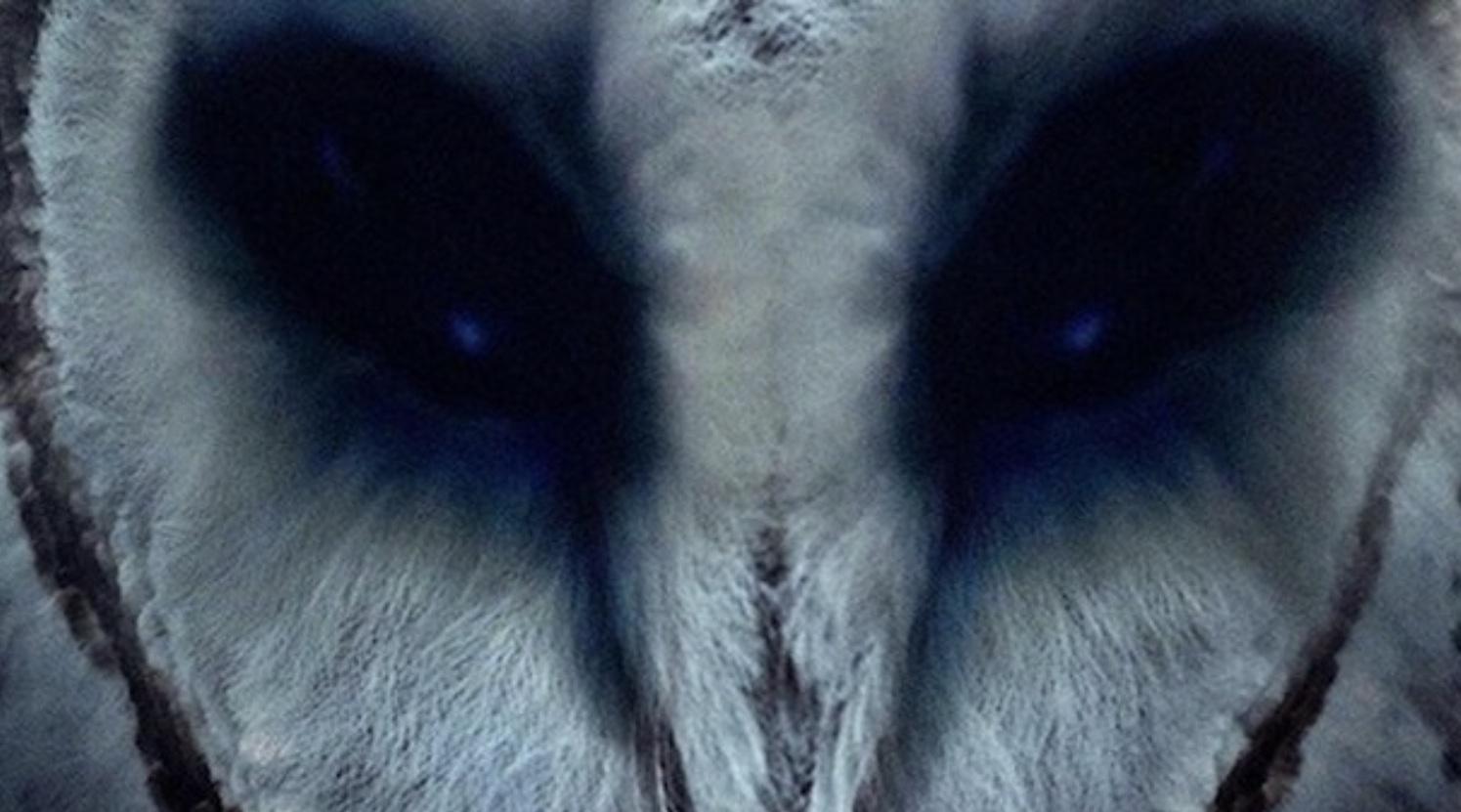 _VooDoo_Roo ⓣ banner