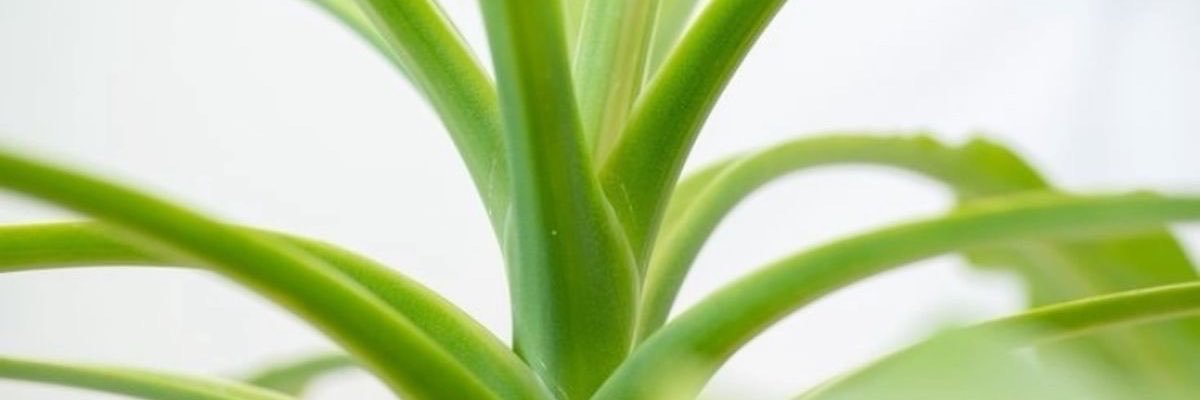 sososunniest's profile banner image