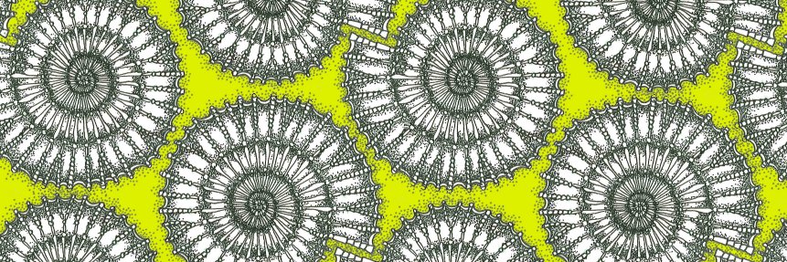 James Ormiston banner