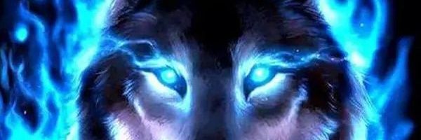 jubi banner