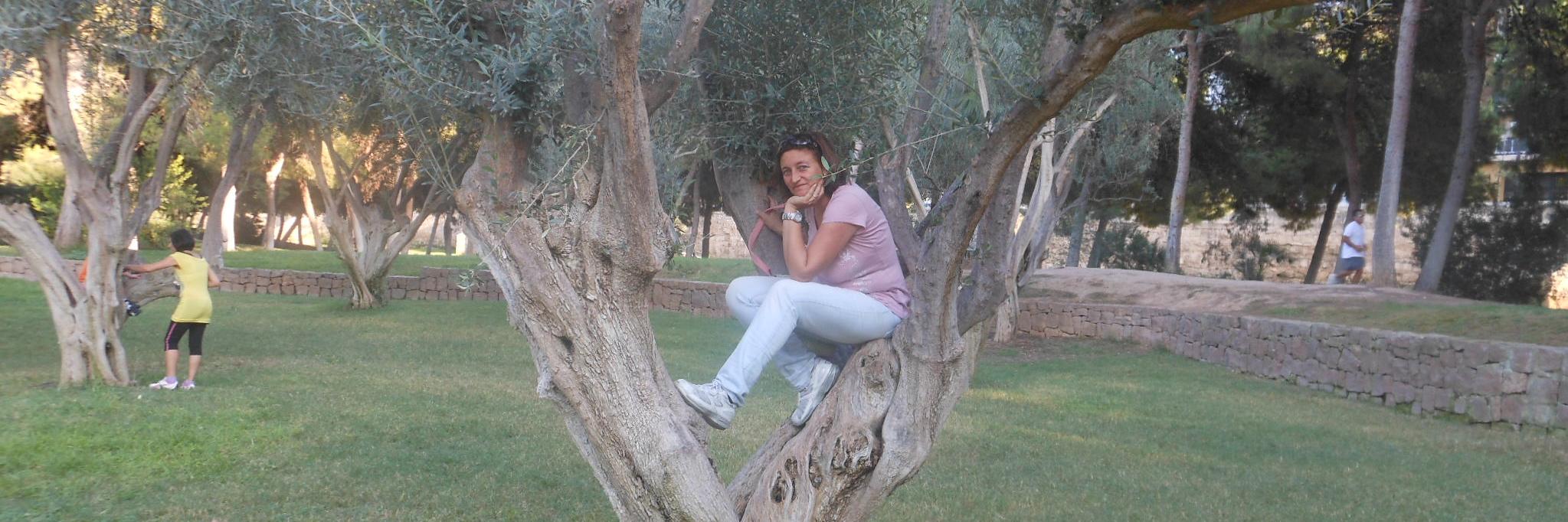Lucya_68's profile banner image