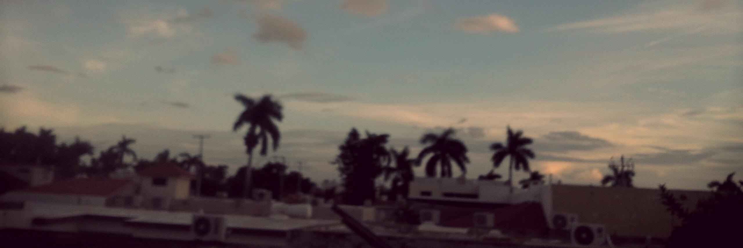matatoros2's profile banner image