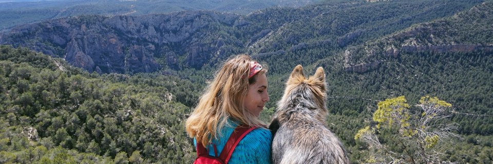Mialos_'s profile banner image