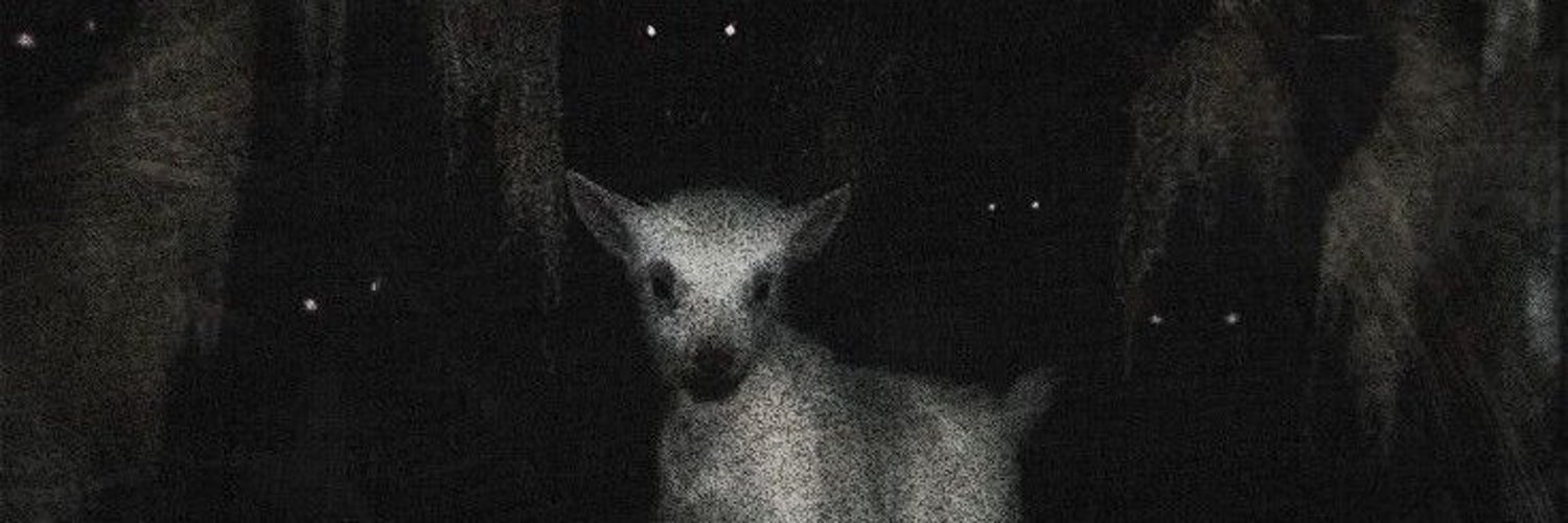 Kieran 🏴󠁧󠁢󠁳󠁣󠁴󠁿🇬🇧 banner