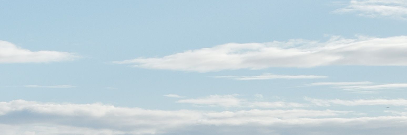 𝓝𝓮𝓲 banner