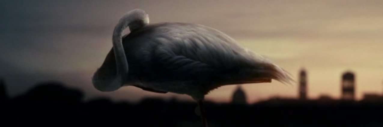 stellasabin's profile banner image
