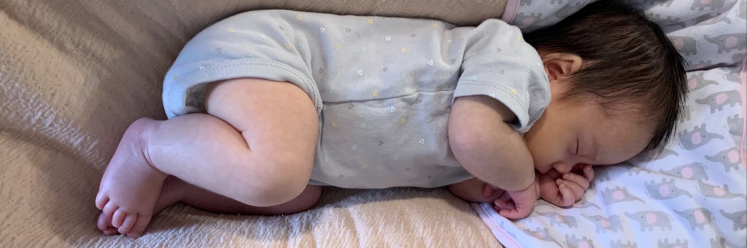 taylorerenee's profile banner image
