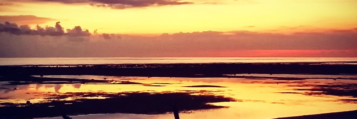 laurabeech2's profile banner image