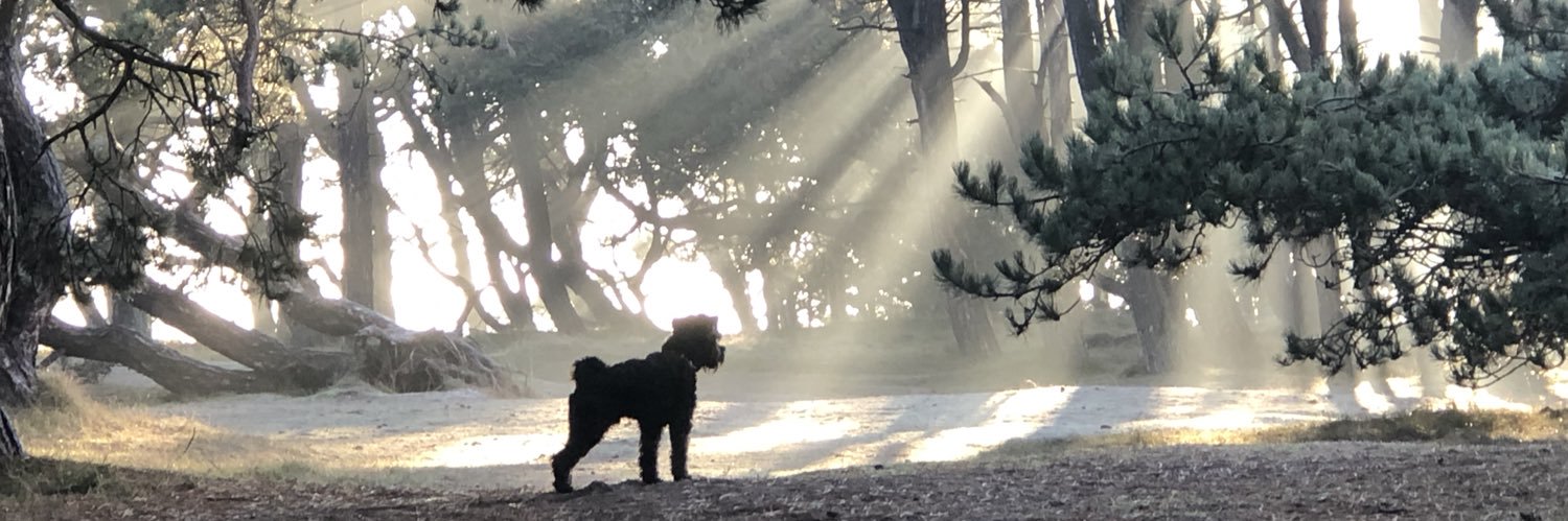 Bunker_Red's profile banner image