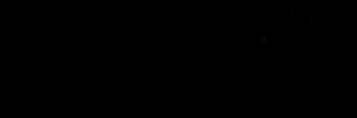 saka banner