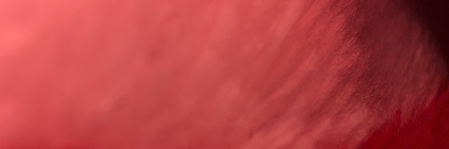 attreyhu's profile banner image