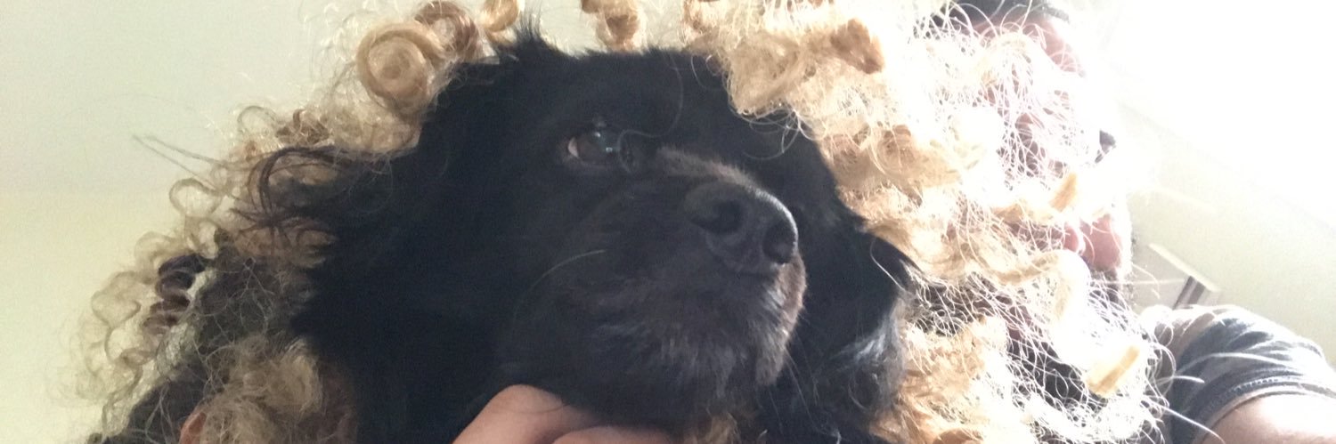 ophirf's profile banner image