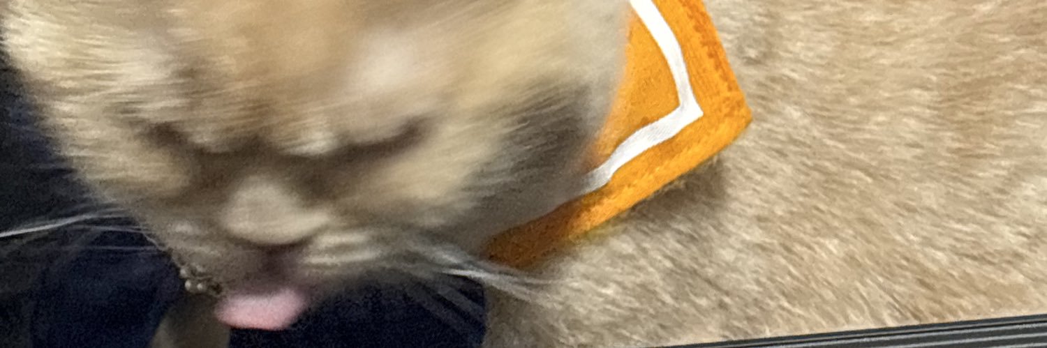 うなぎチャーハン banner