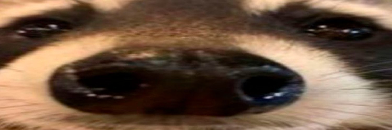 Guaxi 🍂 banner