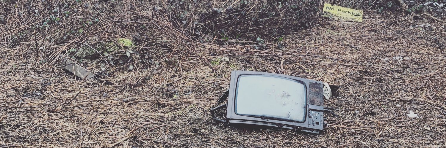 Chelle McCann banner