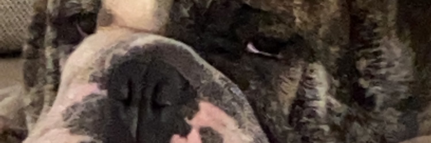 Oastudilloj's profile banner image