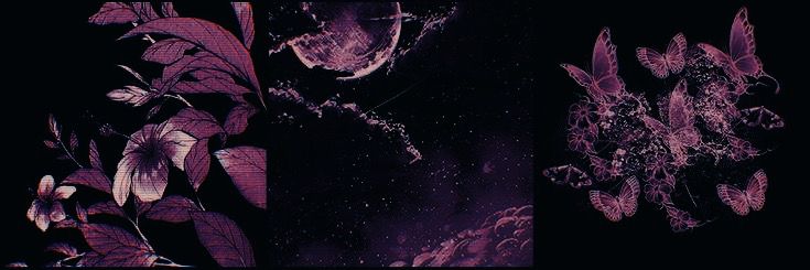 LAiKA banner