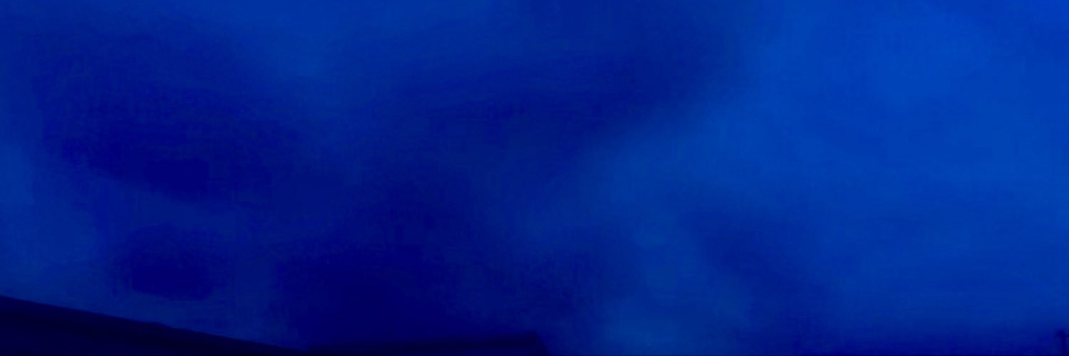 nessaproject1's profile banner image