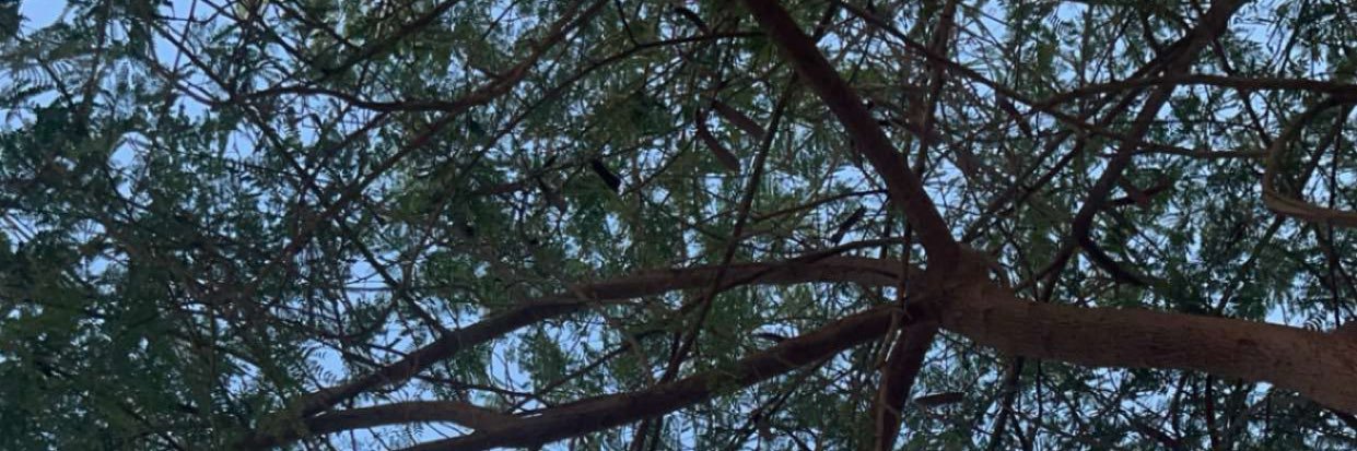 رهف الثقفي 🇧🇦 banner