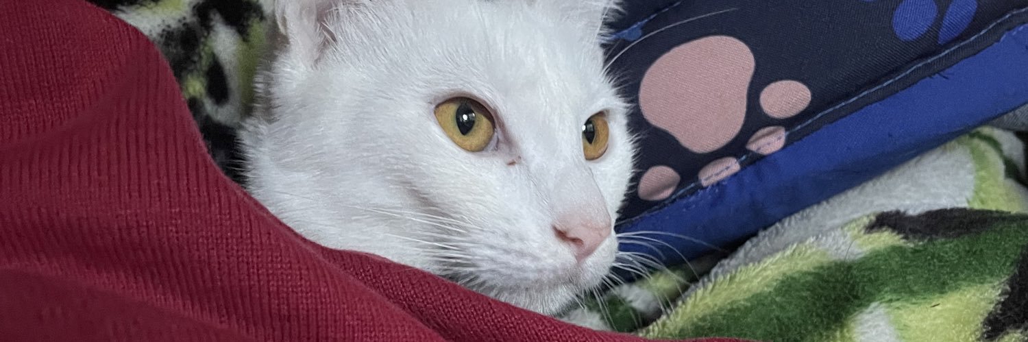 _pablog1's profile banner image
