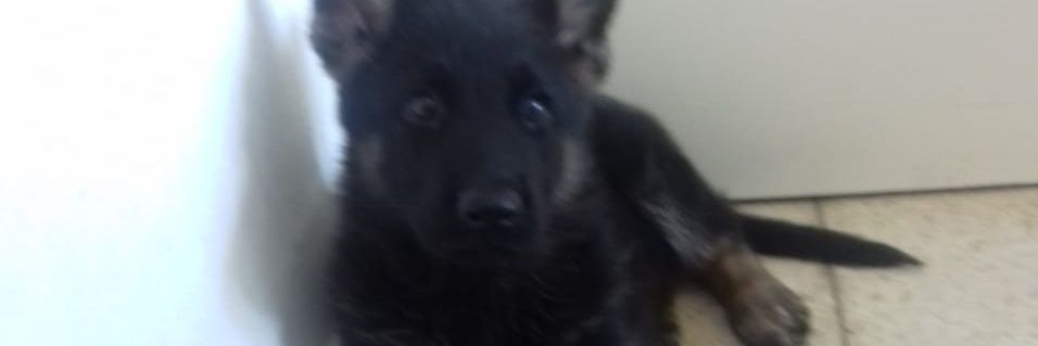 MiJaque_'s profile banner image