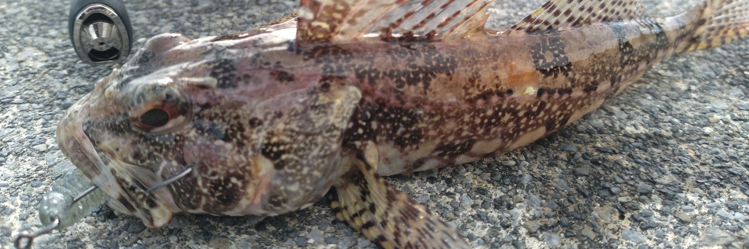 やかん＠ライトゲーマー(仮) banner