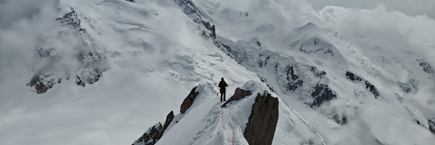 LORENZO INSIGNE AL BICHO banner