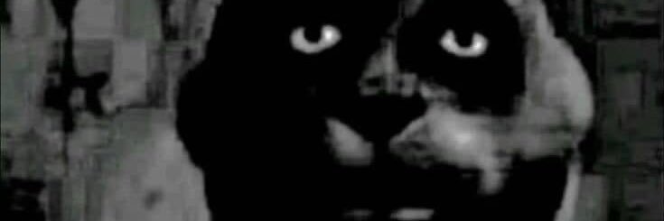 alex the puppyboy banner