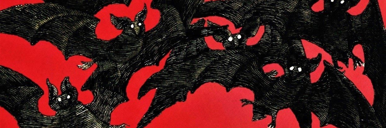 brunabout_'s profile banner image
