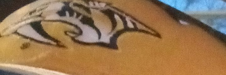 Ian Patterson banner