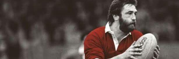 Lynne Reynolds 🏴󠁧󠁢󠁷󠁬󠁳󠁿 banner