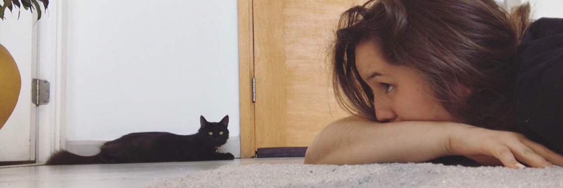 MsGabins's profile banner image