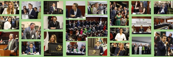 VerdeSenadoMex Profile Banner