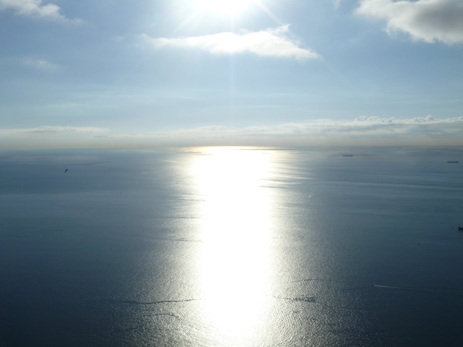 Letitia Smith banner