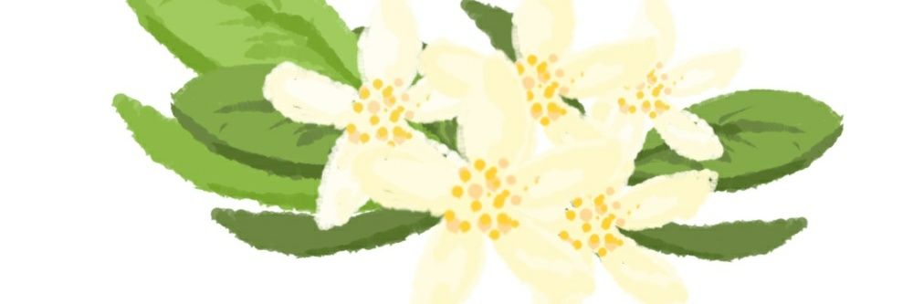 neroli0408's profile banner image