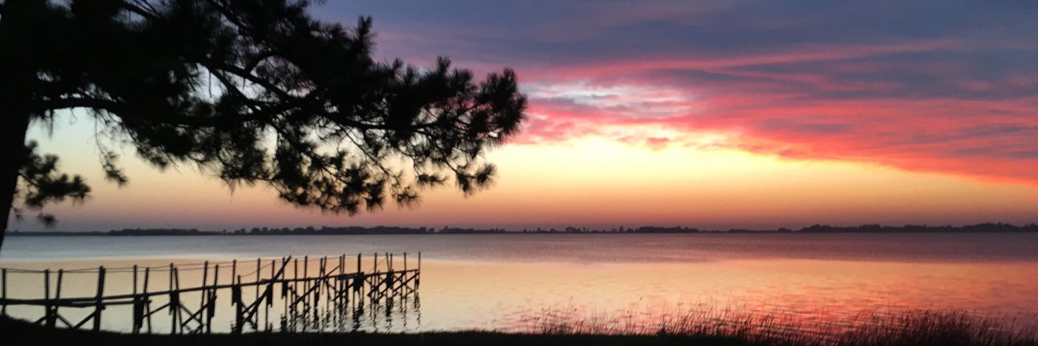 mj_ehul's profile banner image
