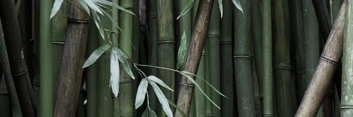 𝑎𝑚𝑒𝑙🪭 banner