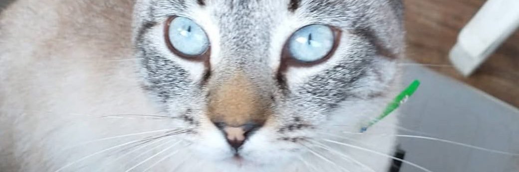 cacrepaldi_'s profile banner image