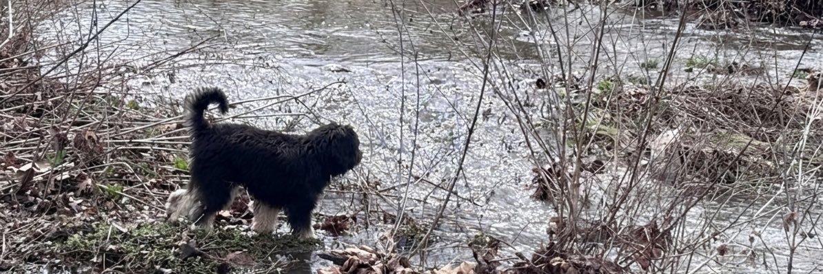 Daniel Bennett banner