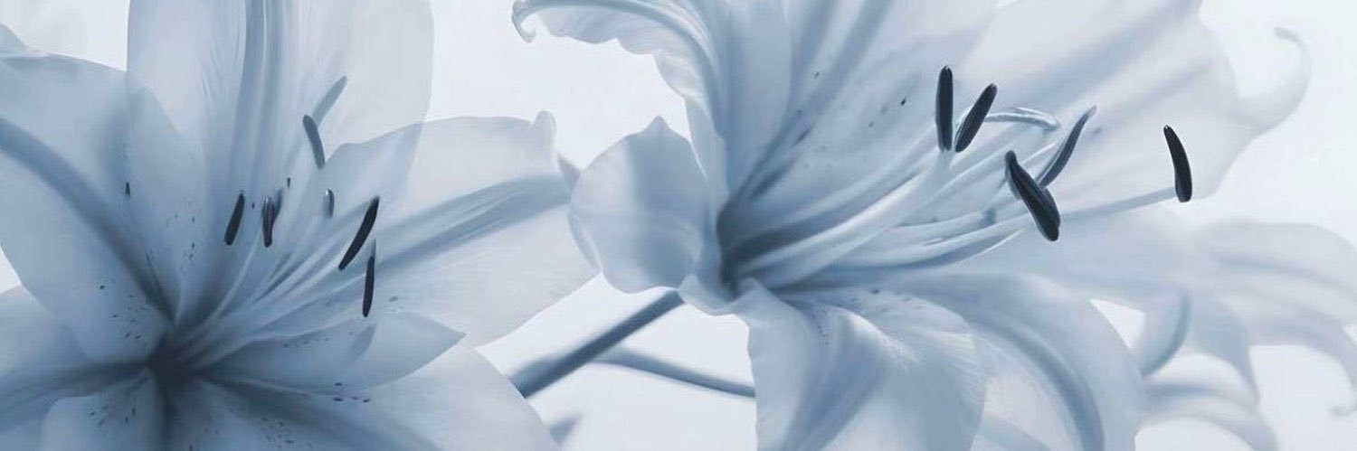 salumsom's profile banner image