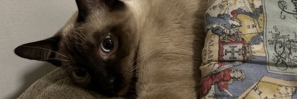 victorkoaa Profile Banner