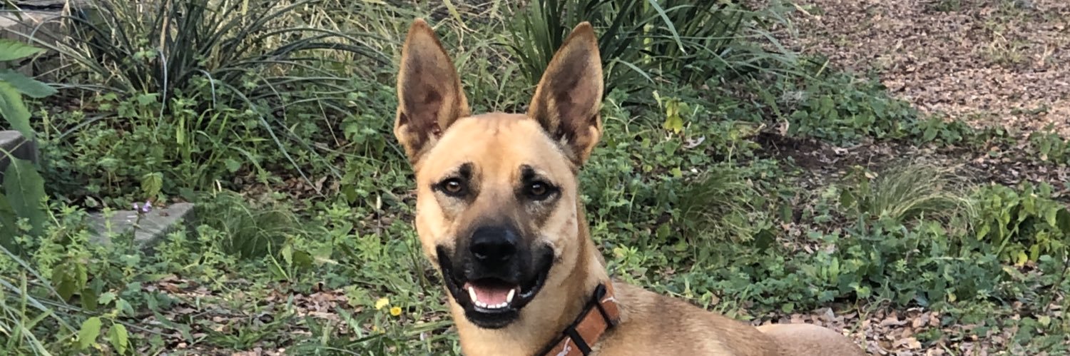 Dagney (Pruner) Gómez del Campo banner